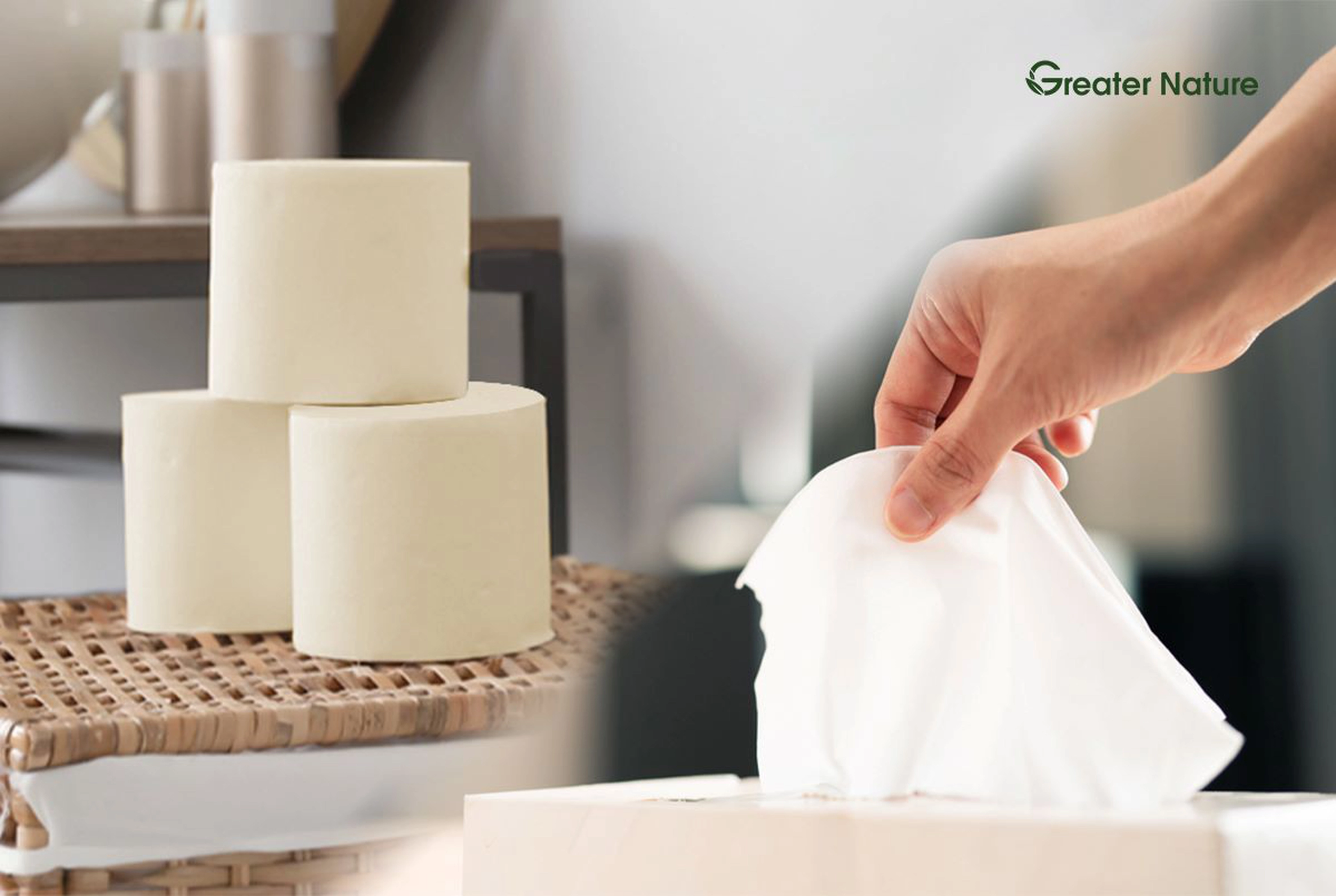 Tissue And Toilet Paper: Understanding The Differences And Proper Uses