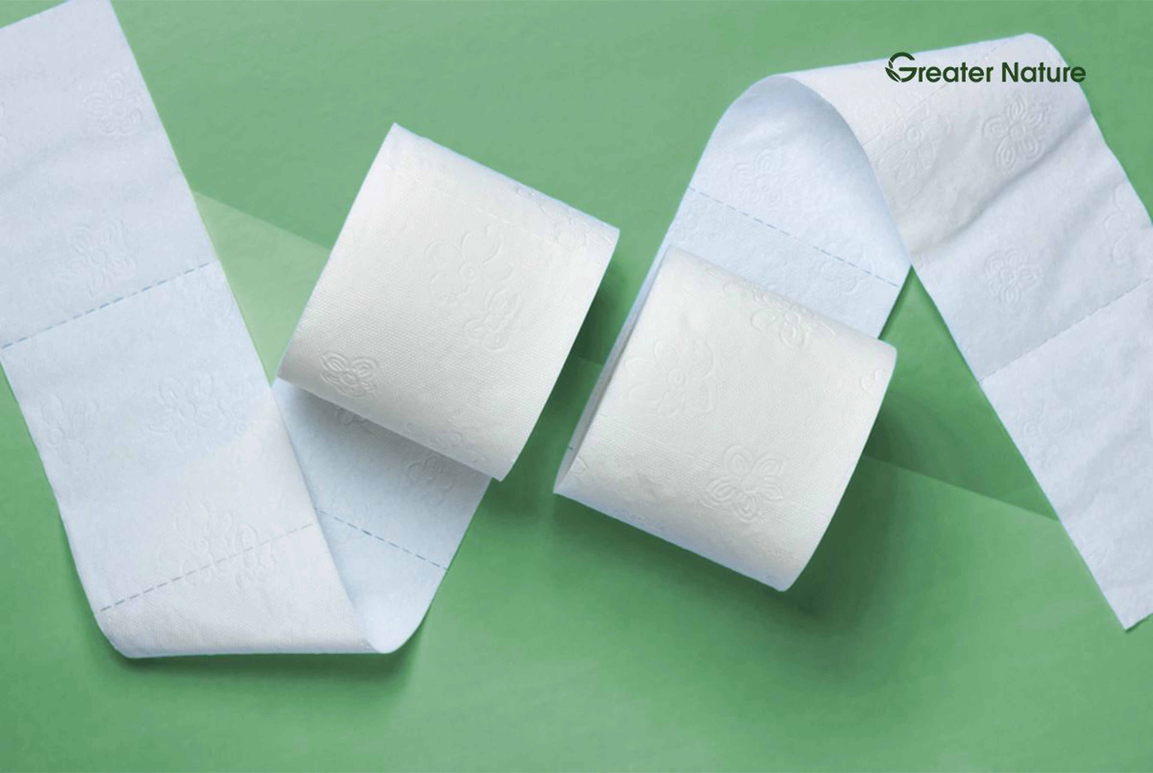 Two Ply Toilet Paper: Understanding Quality And Choice