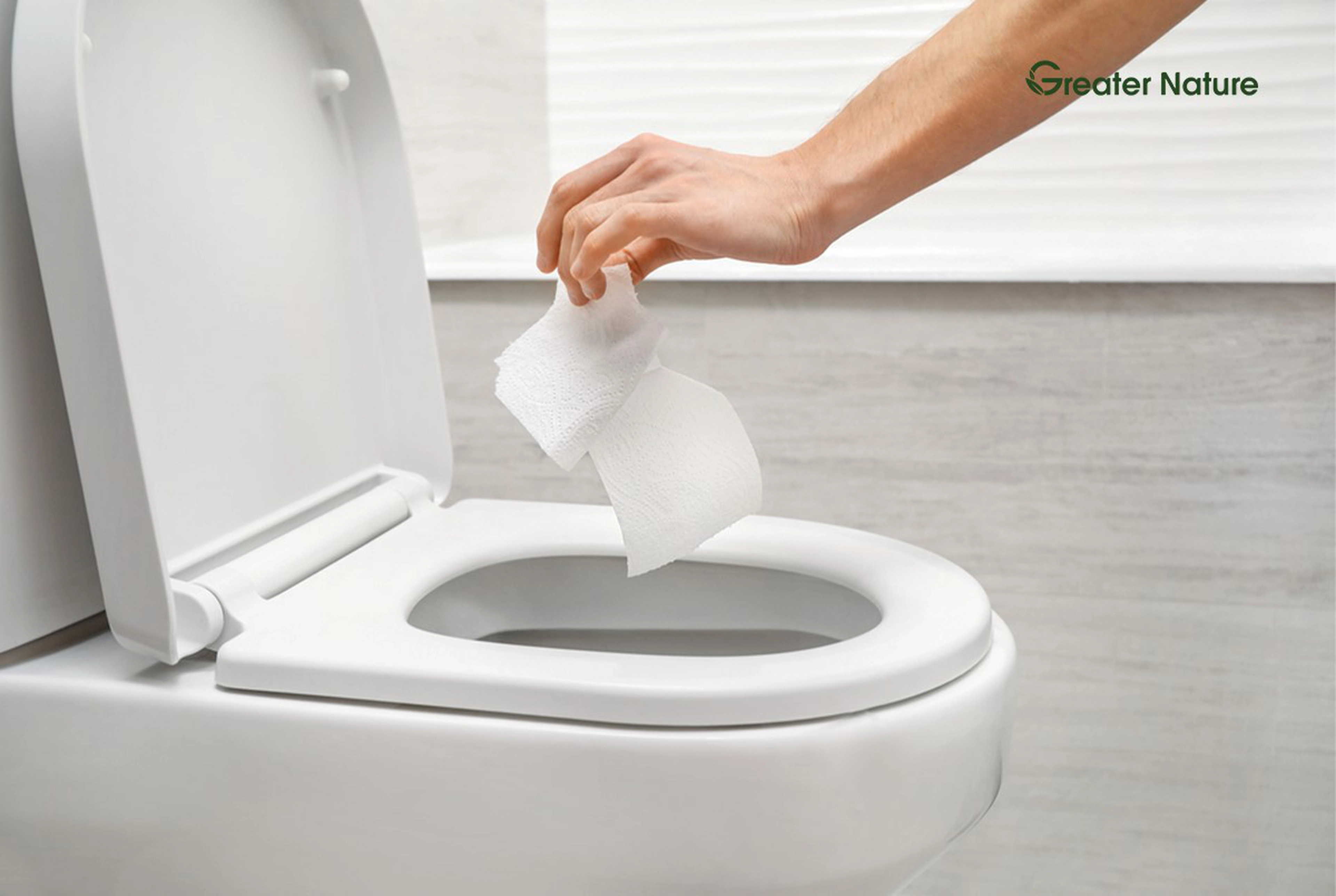 Is Toilet Paper Water Soluble? Uncover Surprising Facts You Might Not Be Aware Of