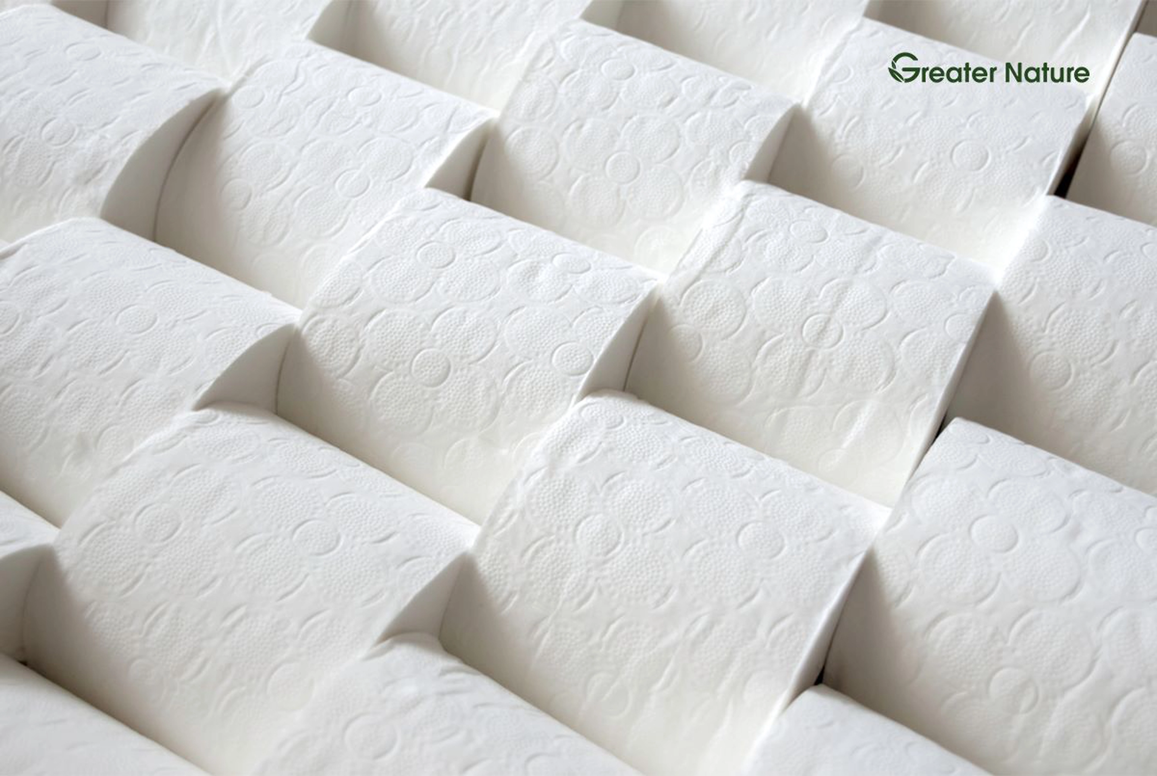 Toilet Paper Bulk: Everything You Need To Know Before Buying In Bulk